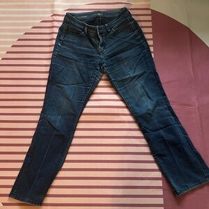 Vintage Anne Taylor Loft Jeans
